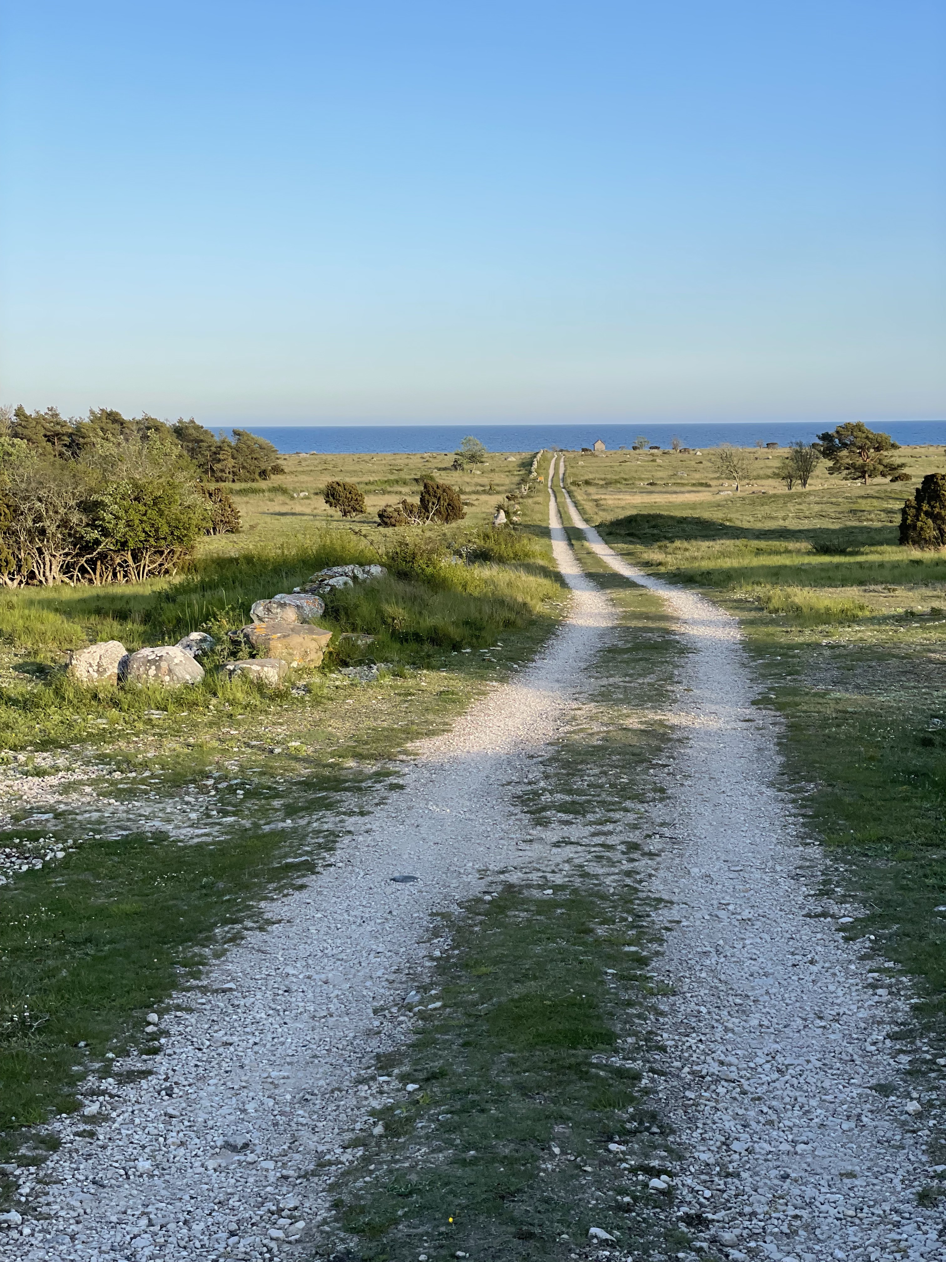 Grusvägen som slutar i havet, Gotland